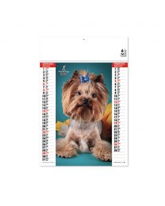 CATS DOGS - calendrier mural
