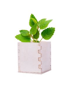 MERIN - kit pour cultiver de la menthe