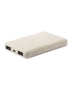 SHIDEN - power bank