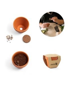 MENTHA - Pot en terre cuite avec graines de menthe