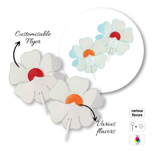 LOLLY FLYER - sucette plate avec flyer