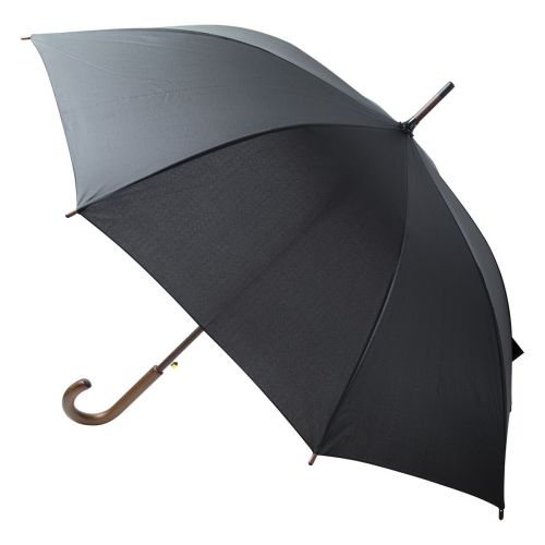 LIMOGES - parapluie