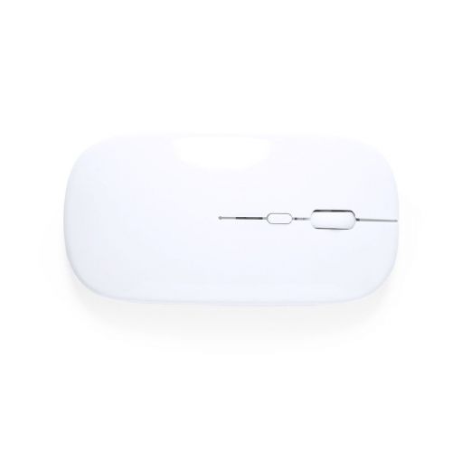 CHESTIR RCS - Souris