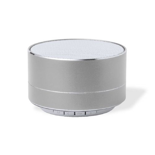 SKIND - Haut-Parleur
