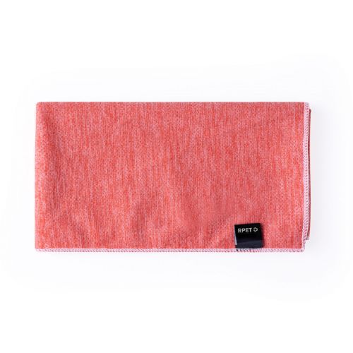 GUDS - Serviette Absorbante