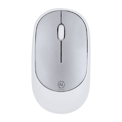 DORYT RCS - Souris