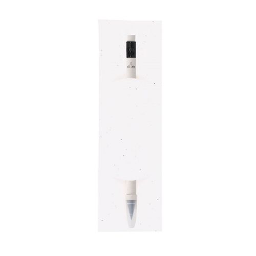 STAUTON - Crayon Éternel