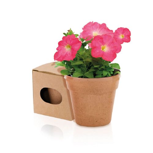 ADVERT - Pot de Fleurs