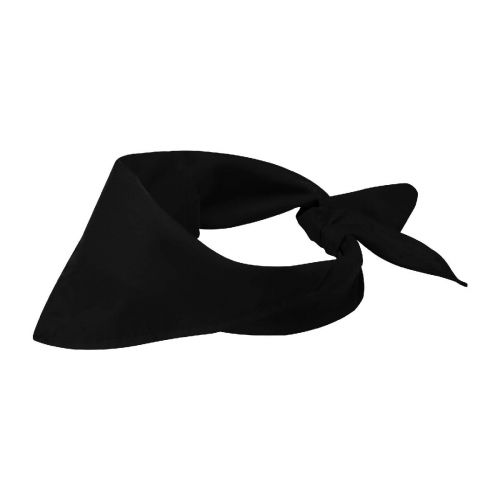 BANDANA HERACLES - Carnet à couverture rigide Spectrum Plus A6