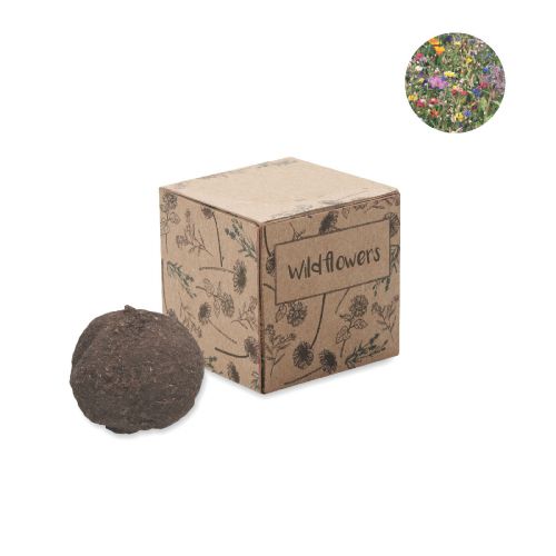BOMBI - Boule graines de fleurs sauvage