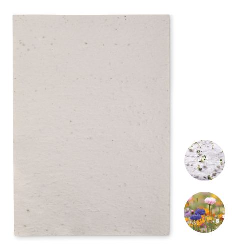 ASIDI - Papier a4 graines de fleurs