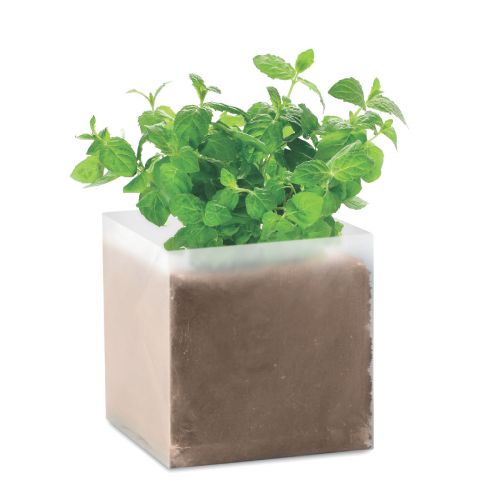 MINT - Substrat avec graines menthe