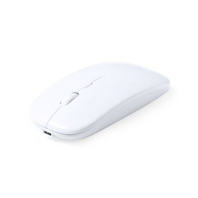 CHESTIR RCS - Souris