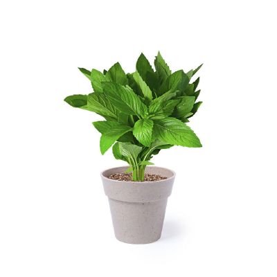 NERTEL - Set Pot de Fleurs