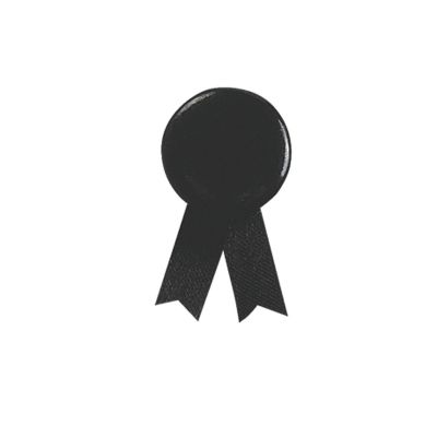 SOLIDARIO - Pin's Ruban