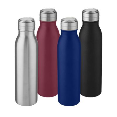 HARPER -Bouteille de sport 700 ml en acier inoxydable avec boucle métallique