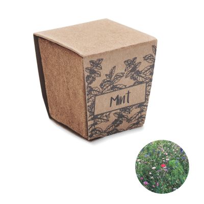 MINT KIT - Kit de graines de menthe