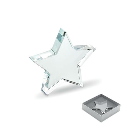 STARWARD - Trophée en verre etoile