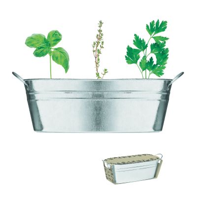 MIX SEEDS - Bac en zinc & herbes aromatique