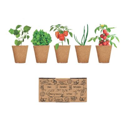 SALAD - Kit de culture de e