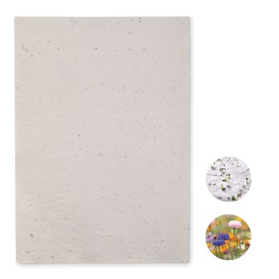 ASIDI - Papier a4 graines de fleurs