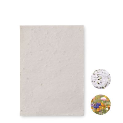 ASIDO - Papier a6 graines de fleurs