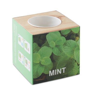 MENTA - Pot en bois avec graine