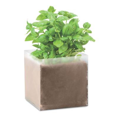 BASIL - Substrat avec graines ic.