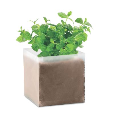 MINT - Substrat avec graines menthe