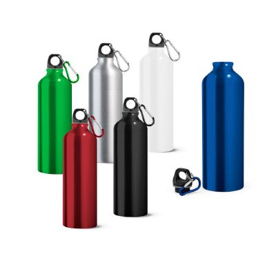 LANDSCAPE L - Bouteille de sport 800mL en aluminium avec mousqueton
