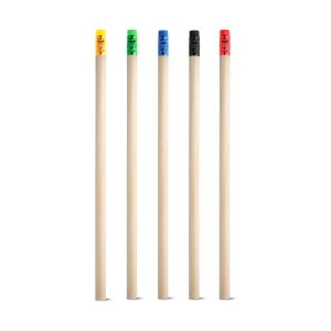 POLLOCK - Crayon mine HB