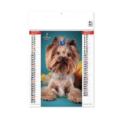 CATS DOGS - calendrier mural