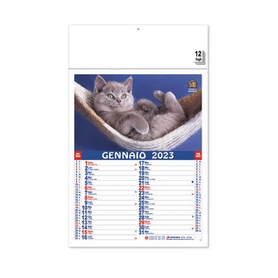 PET - calendriers chats et chiens