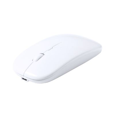 RABICK - Souris optique RABS