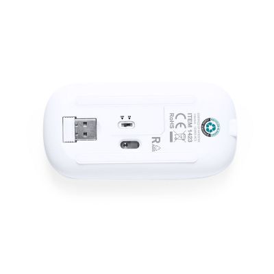 CHESTIR RCS - Souris