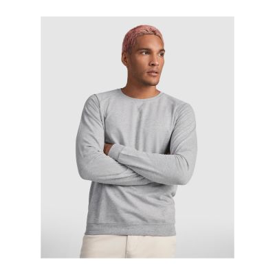CLARKSVILLE - Sweat en coton manches longues raglan