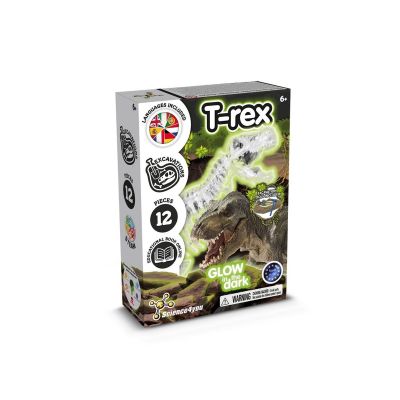 Fossil Excavation Kit I - Jeu éducatif pour enfants