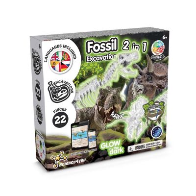 2 in 1 Fossil Excavation Kit I - Jeu éducatif pour enfants