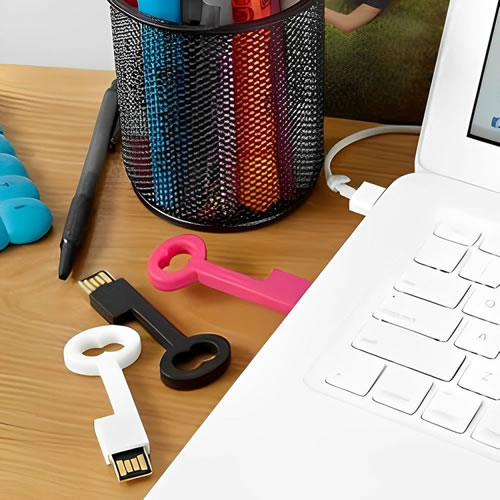 clés USB personnalisables plastique