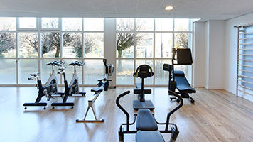 Gymnases