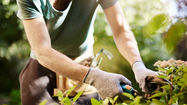 Outils de jardinage personnalisés